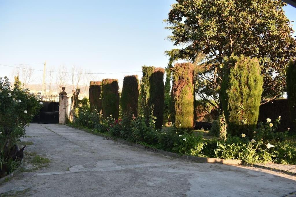 Vivienda Rural Huerta Del Medio Villa กรานาดา ภายนอก รูปภาพ