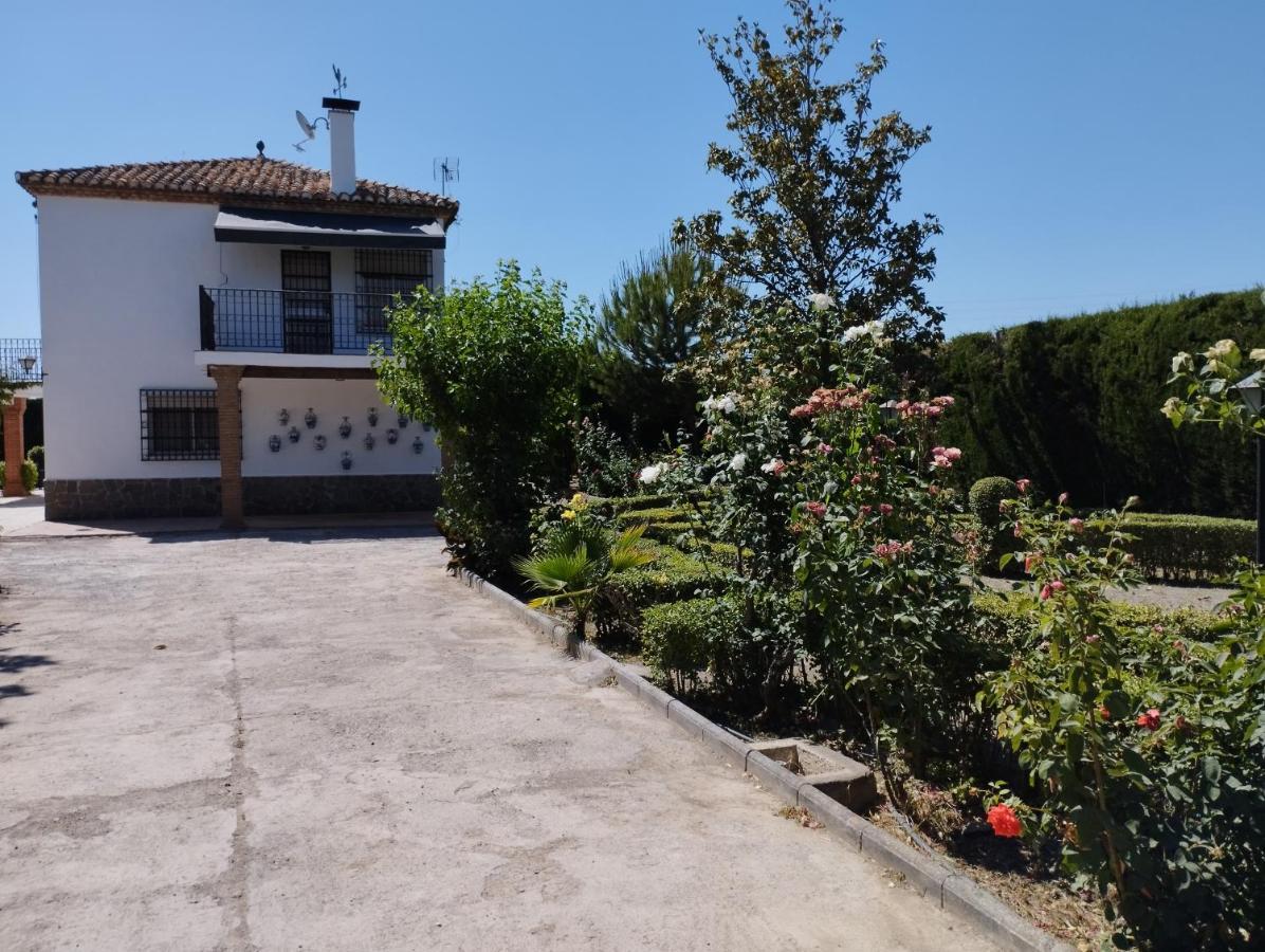 Vivienda Rural Huerta Del Medio Villa กรานาดา ภายนอก รูปภาพ