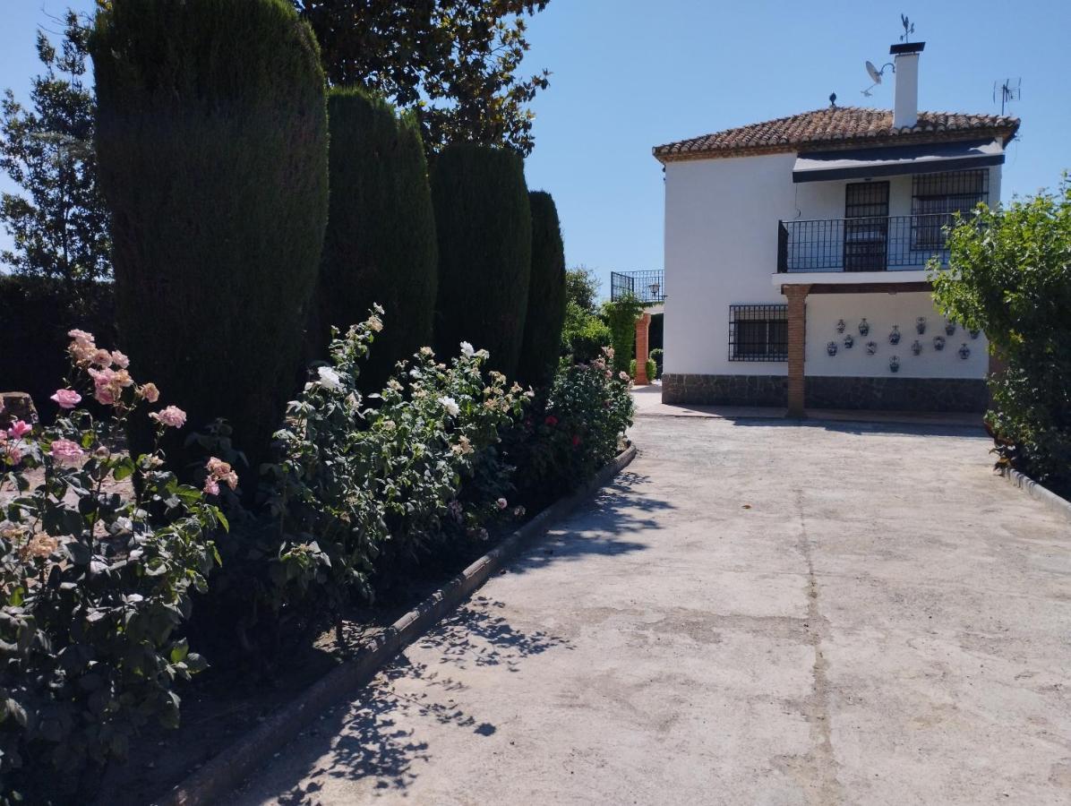 Vivienda Rural Huerta Del Medio Villa กรานาดา ภายนอก รูปภาพ